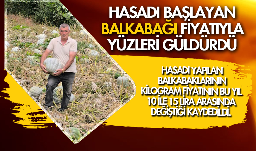 Balkabağı fiyatıyla yüzleri güldürdü